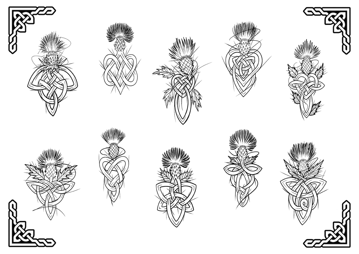 Illustrative thistle