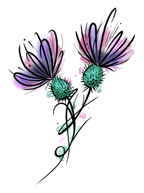 Two Headed Thistle illustrative style