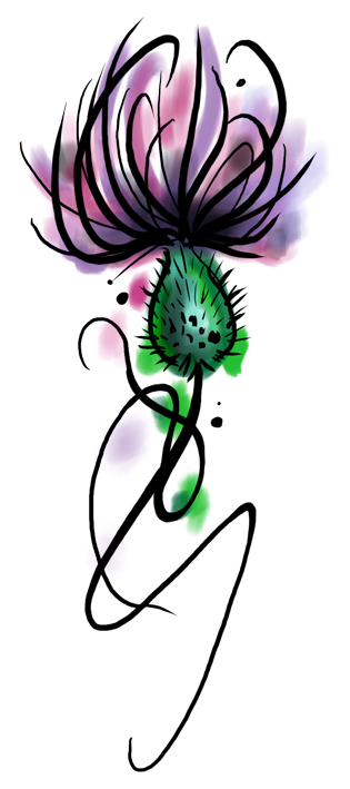 Thistle illustrative style
